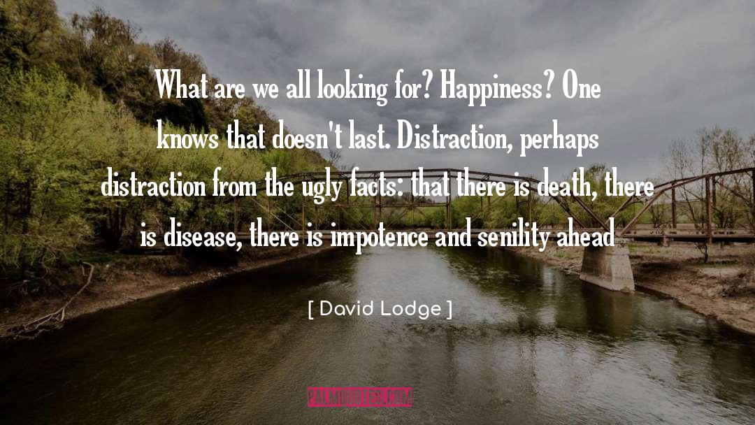 David Lodge Quotes: What are we all looking