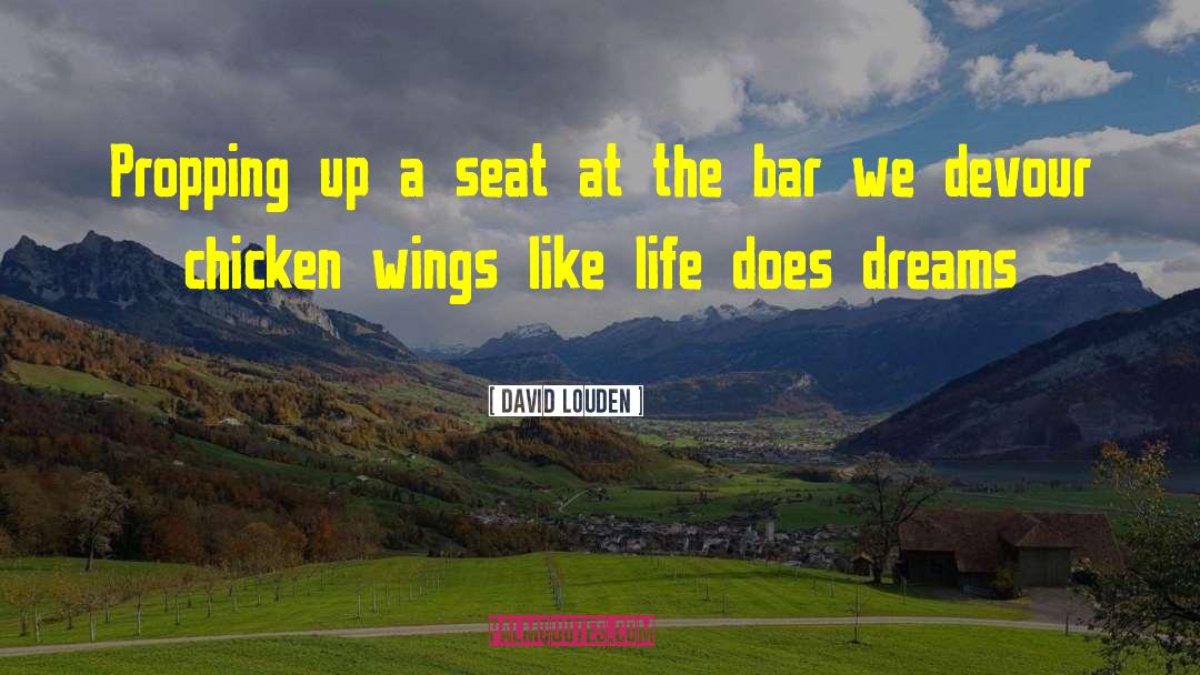 David Louden Quotes: Propping up a seat at