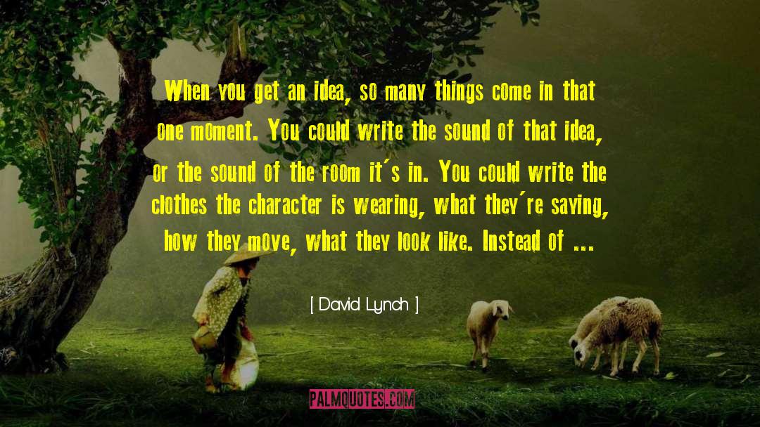 David Lynch Quotes: When you get an idea,