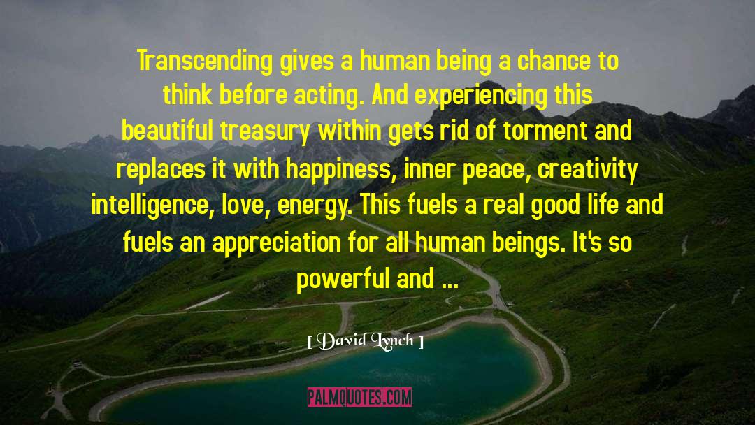 David Lynch Quotes: Transcending gives a human being