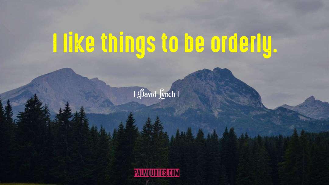 David Lynch Quotes: I like things to be