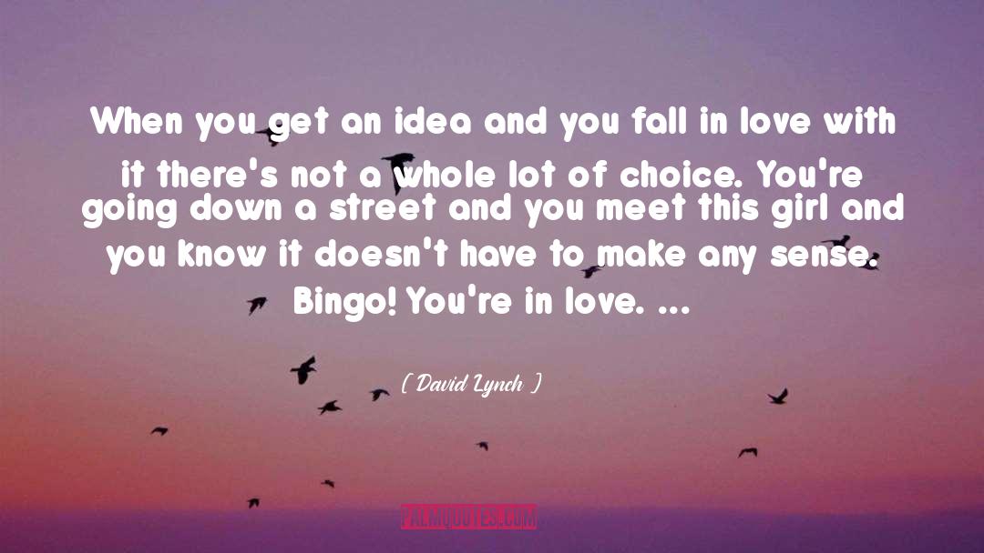 David Lynch Quotes: When you get an idea