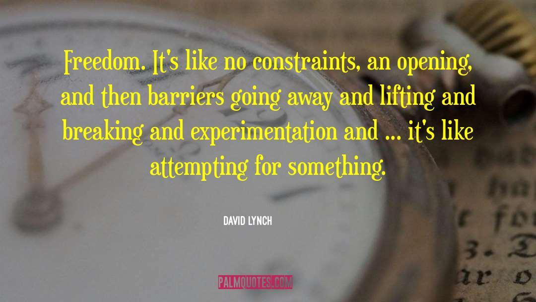 David Lynch Quotes: Freedom. It's like no constraints,
