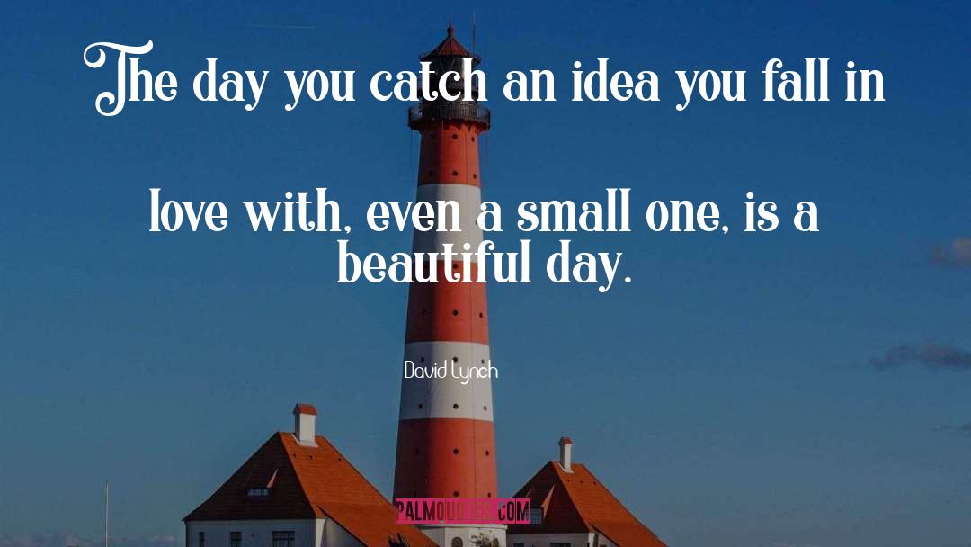 David Lynch Quotes: The day you catch an