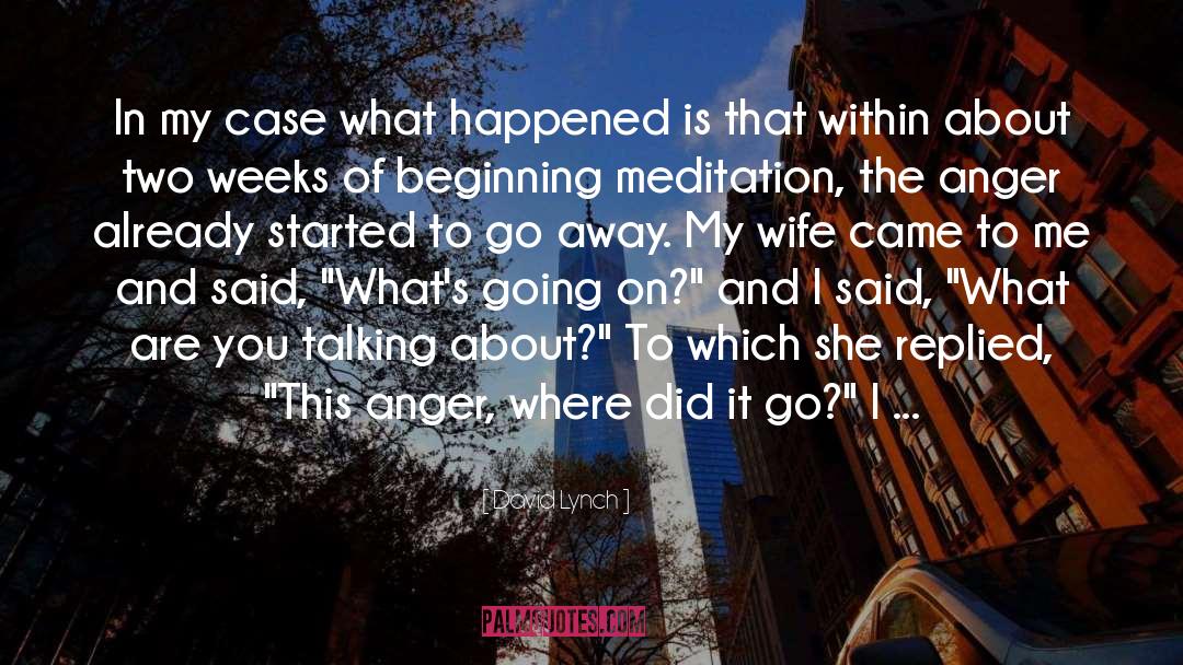 David Lynch Quotes: In my case what happened