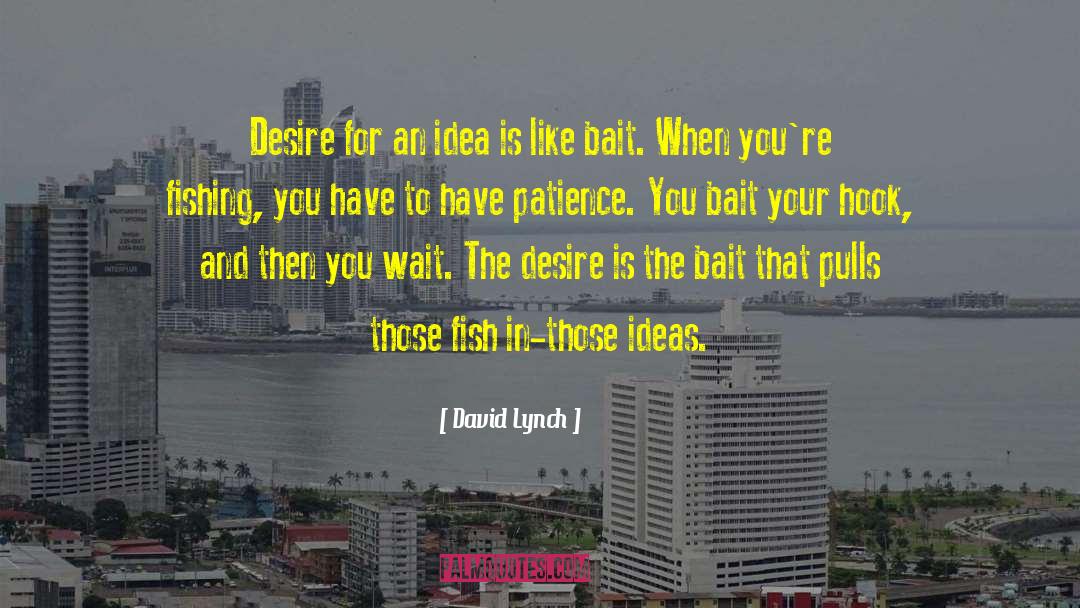 David Lynch Quotes: Desire for an idea is