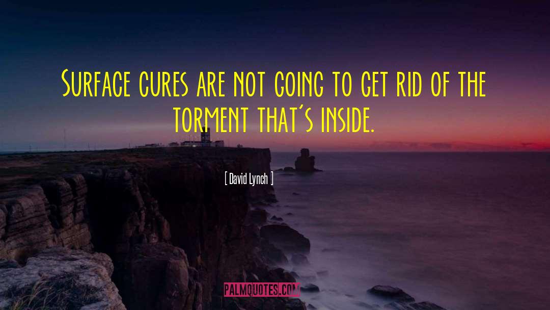 David Lynch Quotes: Surface cures are not going
