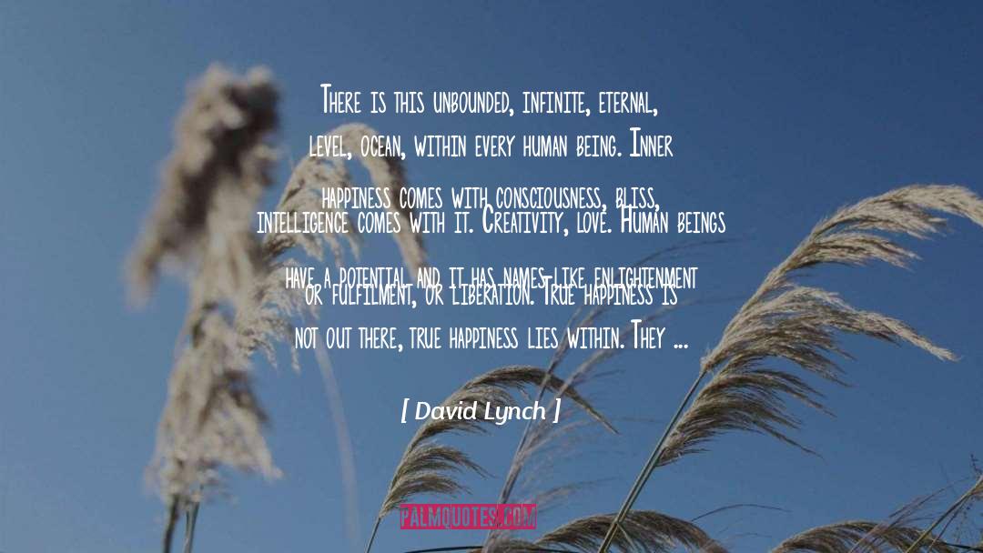 David Lynch Quotes: There is this unbounded, infinite,