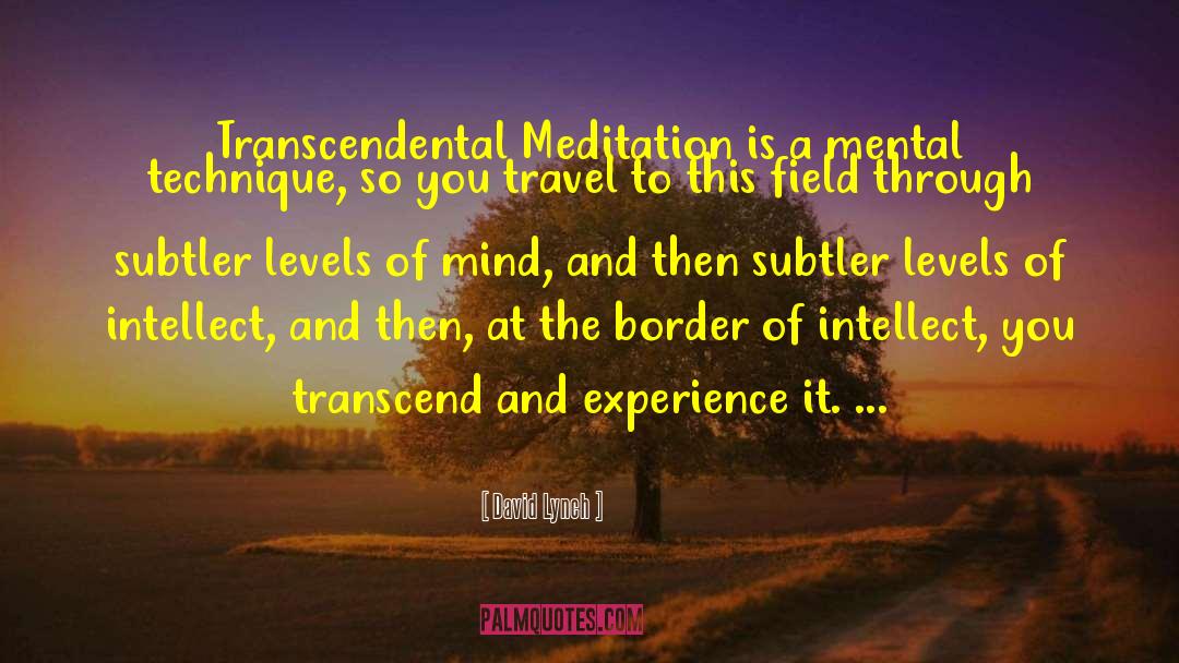 David Lynch Quotes: Transcendental Meditation is a mental