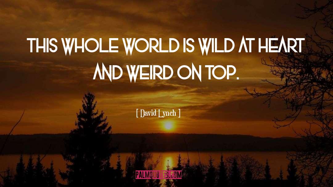 David Lynch Quotes: This whole world is wild