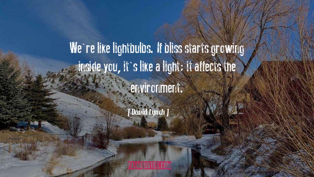 David Lynch Quotes: We're like lightbulbs. If bliss