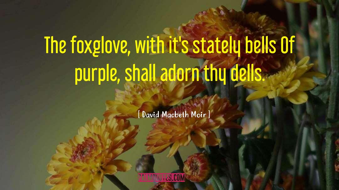 David Macbeth Moir Quotes: The foxglove, with it's stately