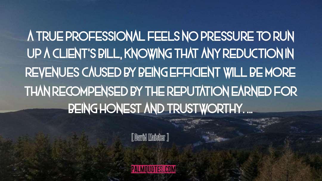 David Maister Quotes: A true professional feels no