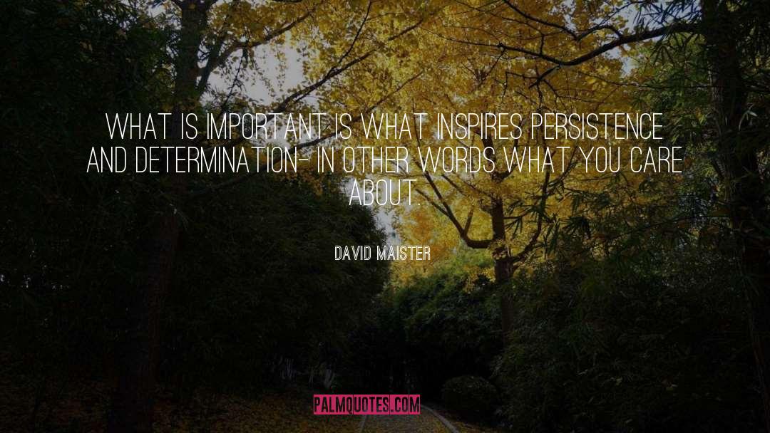 David Maister Quotes: What is important is what