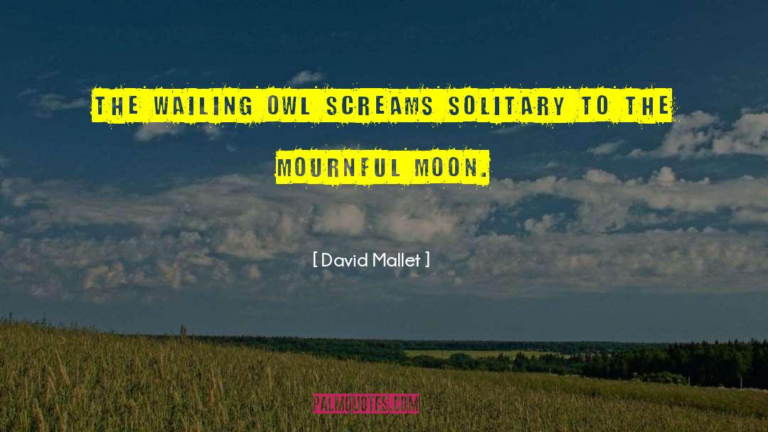 David Mallet Quotes: The wailing owl Screams solitary