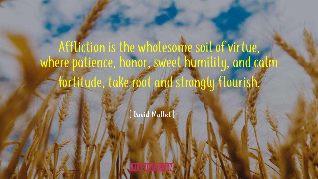 David Mallet Quotes: Affliction is the wholesome soil