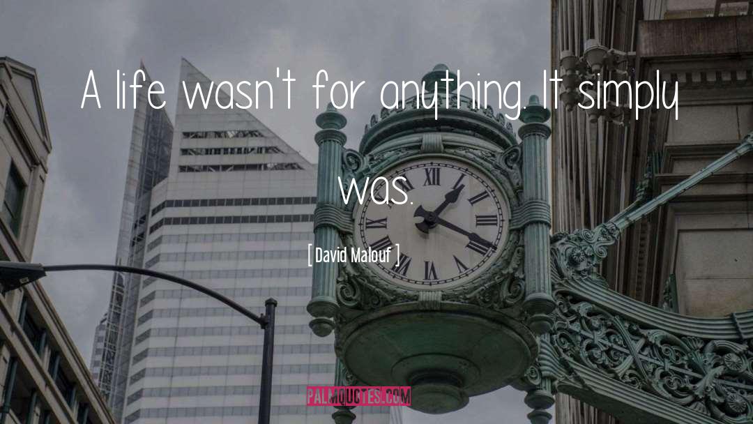 David Malouf Quotes: A life wasn't for anything.