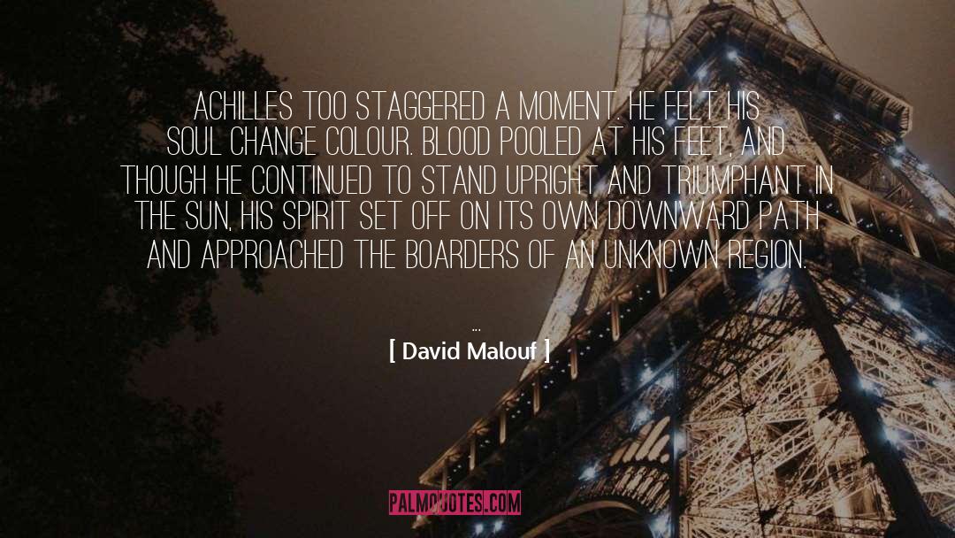 David Malouf Quotes: Achilles too staggered a moment.