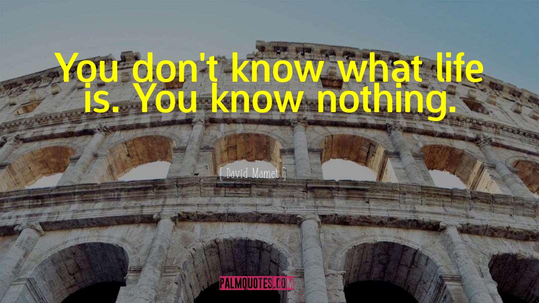 David Mamet Quotes: You don't know what life