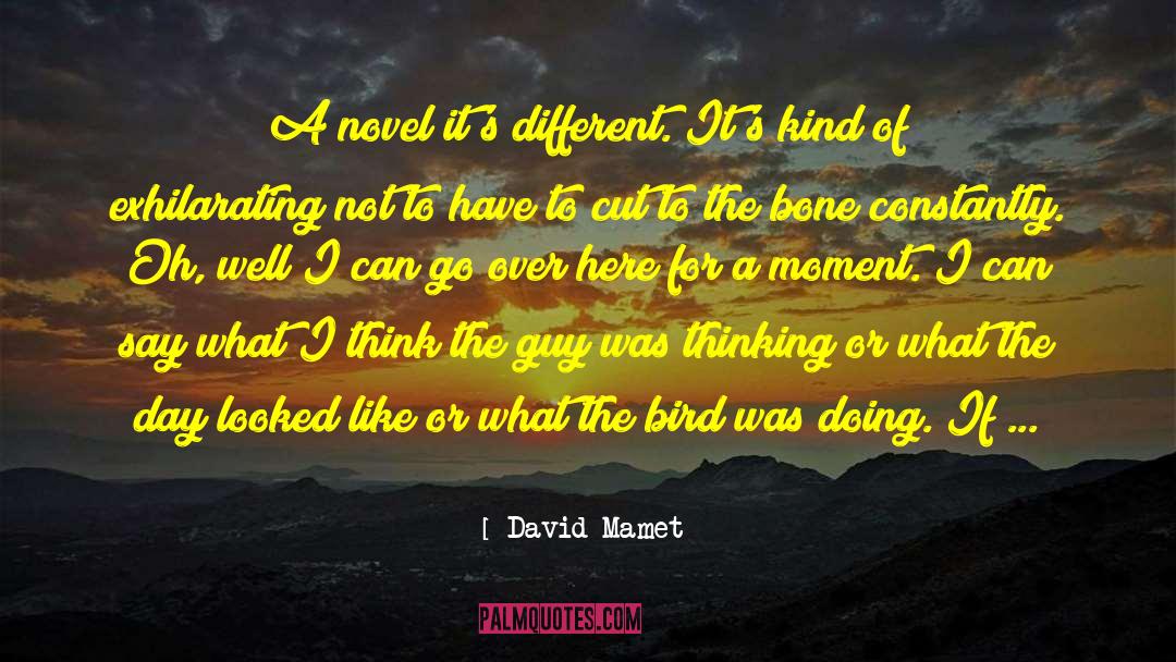 David Mamet Quotes: A novel it's different. It's