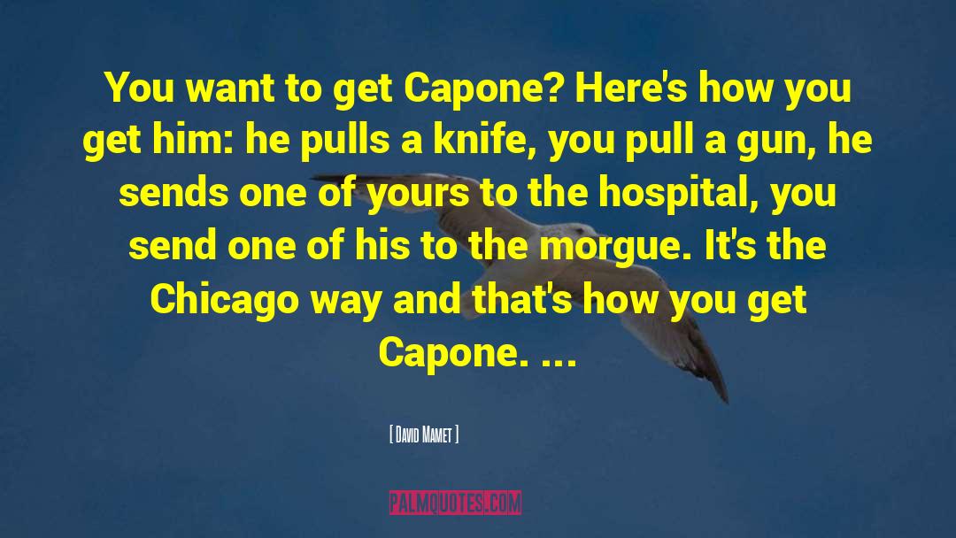 David Mamet Quotes: You want to get Capone?