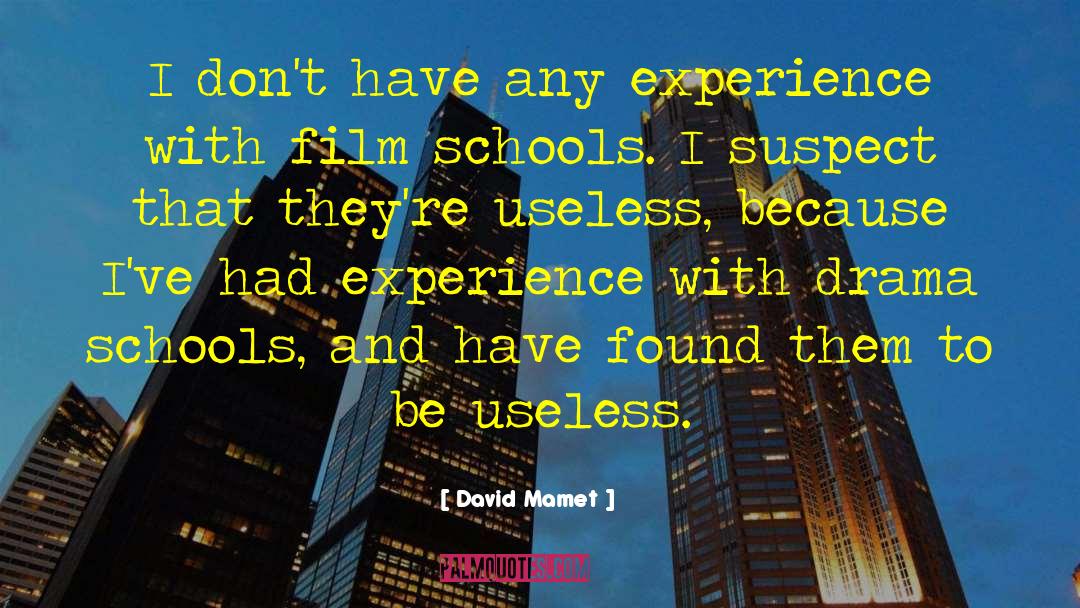 David Mamet Quotes: I don't have any experience