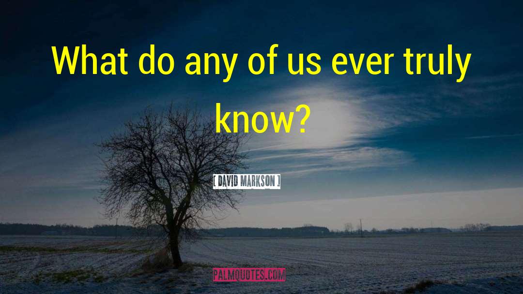 David Markson Quotes: What do any of us