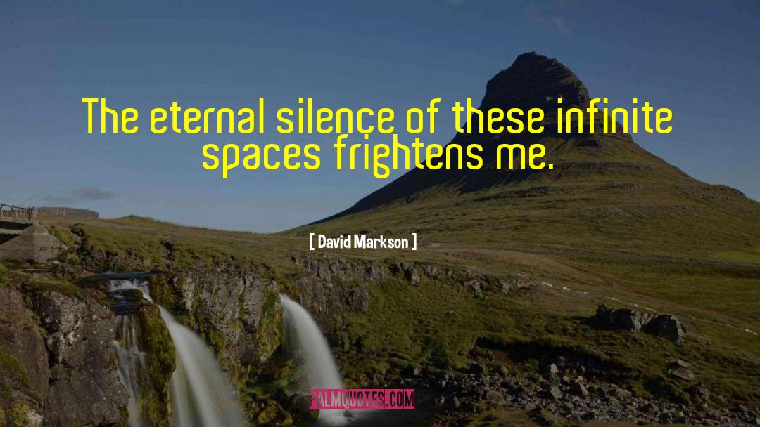 David Markson Quotes: The eternal silence of these