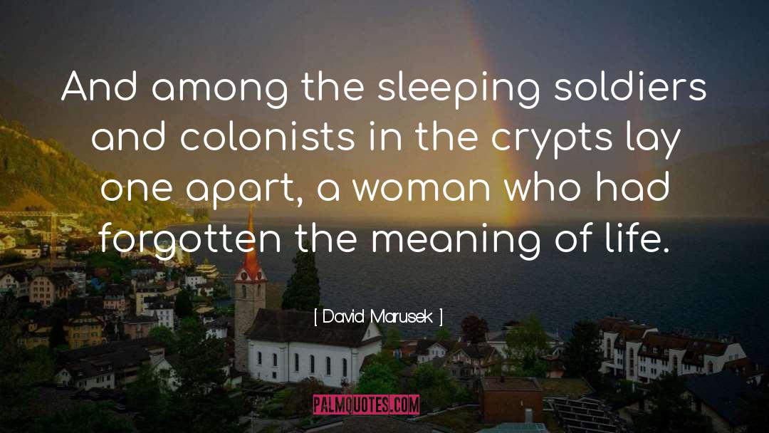 David Marusek Quotes: And among the sleeping soldiers