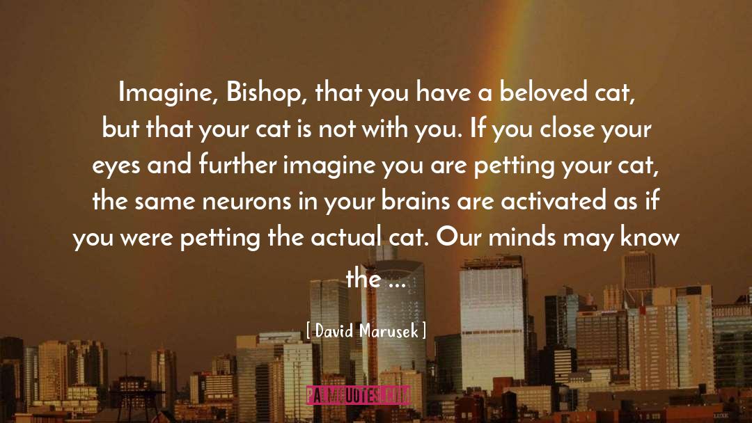 David Marusek Quotes: Imagine, Bishop, that you have