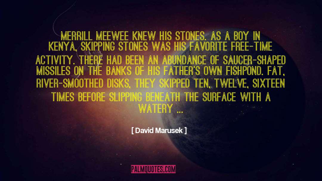 David Marusek Quotes: Merrill Meewee knew his stones.