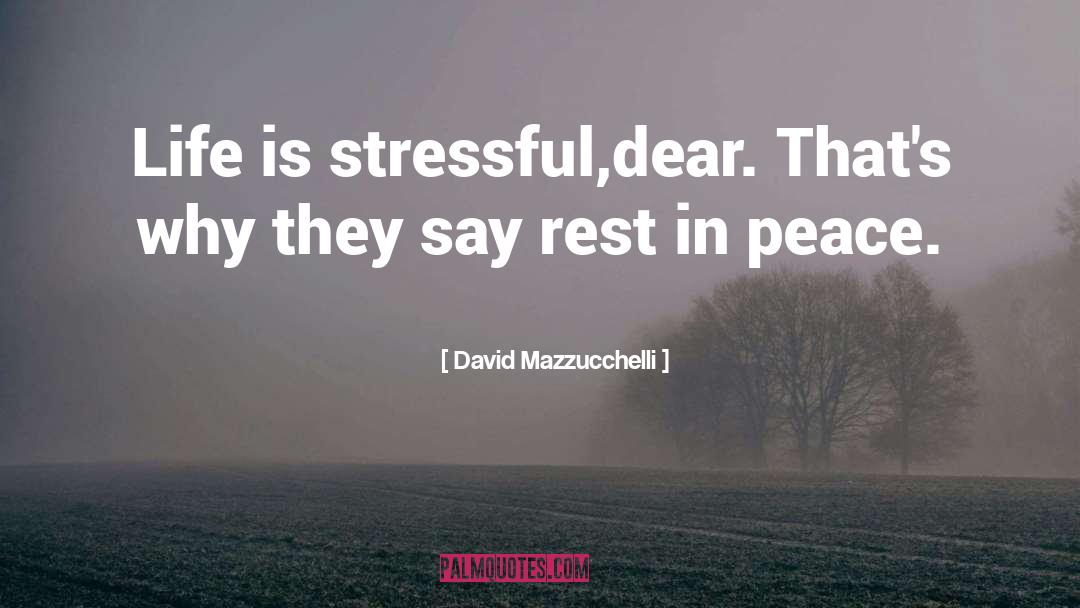 David Mazzucchelli Quotes: Life is stressful,dear. That's why