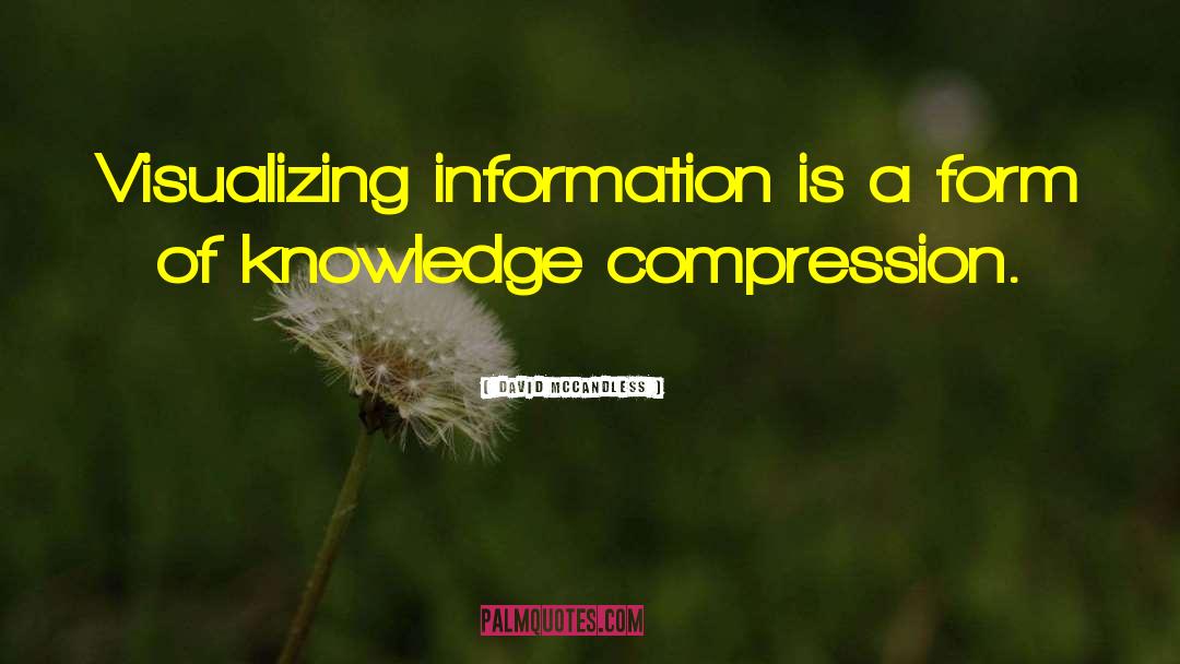 David McCandless Quotes: Visualizing information is a form