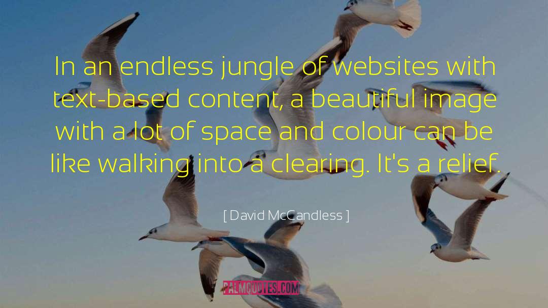 David McCandless Quotes: In an endless jungle of