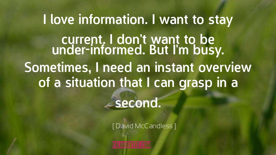 David McCandless Quotes: I love information. I want