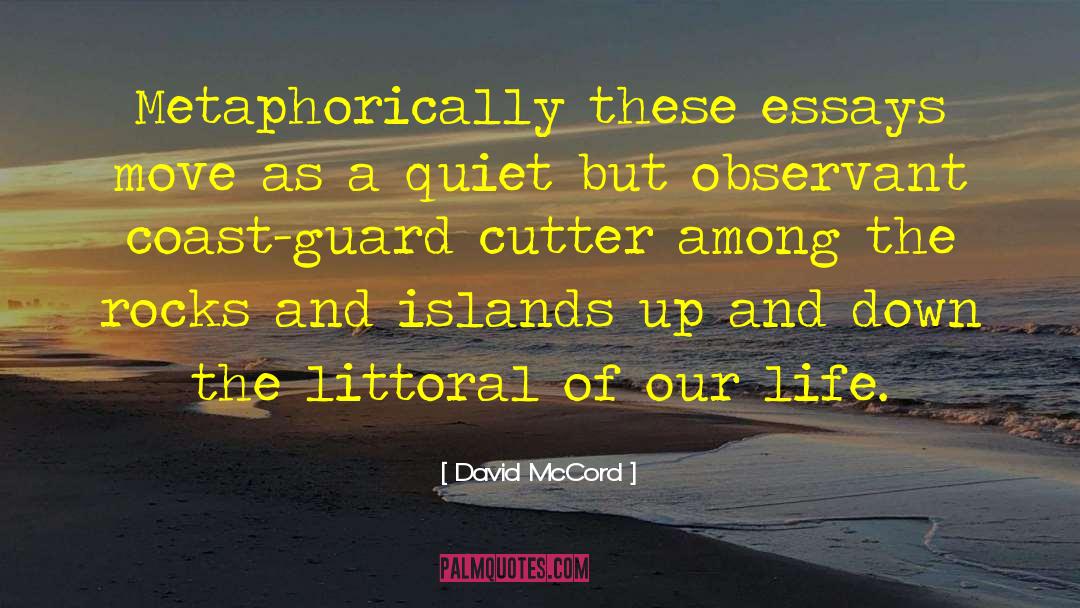 David McCord Quotes: Metaphorically these essays move as