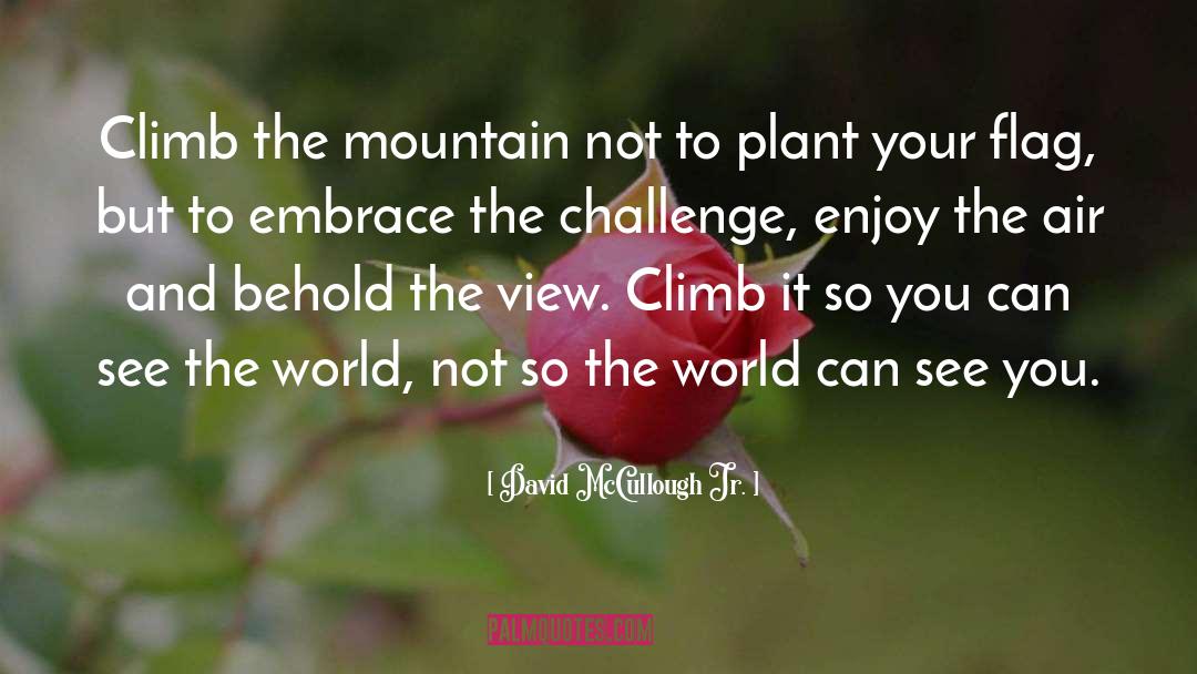 David McCullough Jr. Quotes: Climb the mountain not to