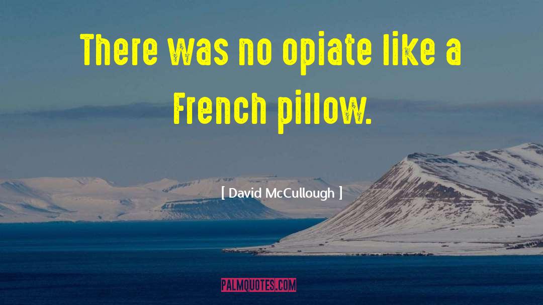 David McCullough Quotes: There was no opiate like