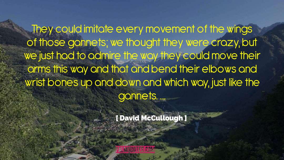 David McCullough Quotes: They could imitate every movement