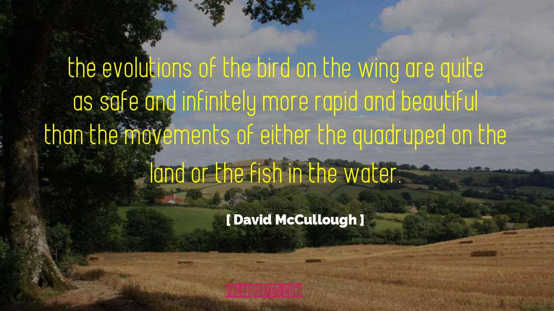 David McCullough Quotes: the evolutions of the bird
