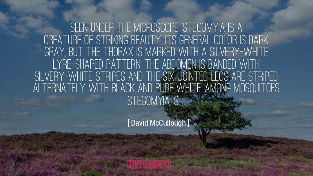 David McCullough Quotes: Seen under the microscope, Stegomyia