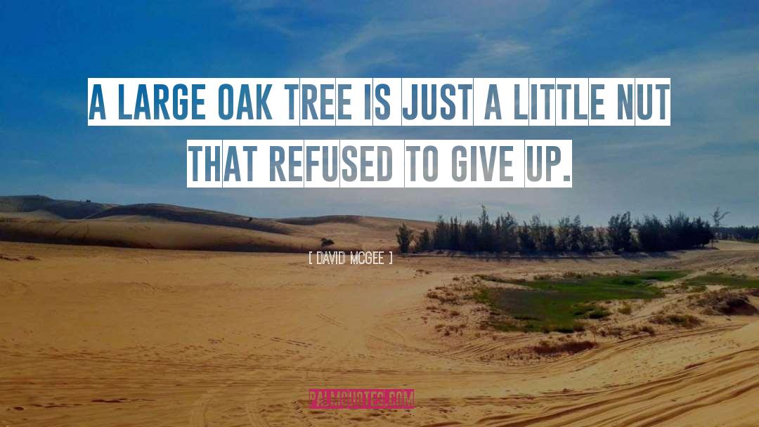 David McGee Quotes: A large oak tree is