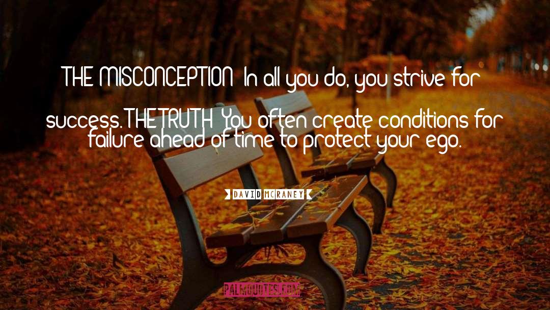 David McRaney Quotes: THE MISCONCEPTION: In all you