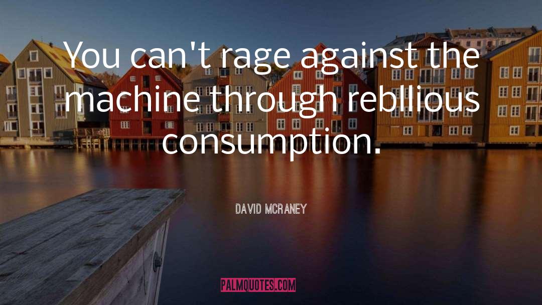 David McRaney Quotes: You can't rage against the