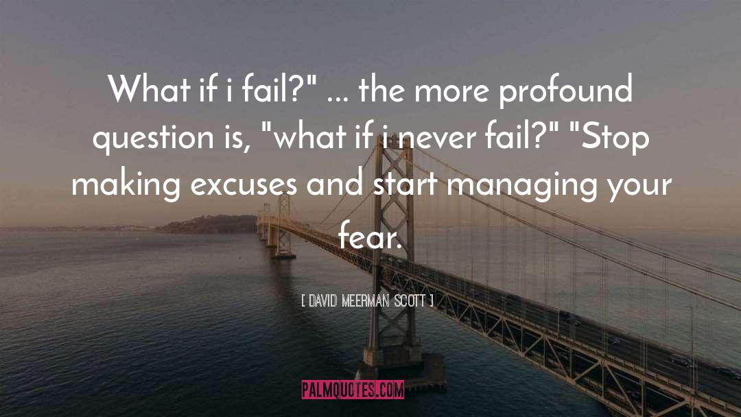 David Meerman Scott Quotes: What if i fail?