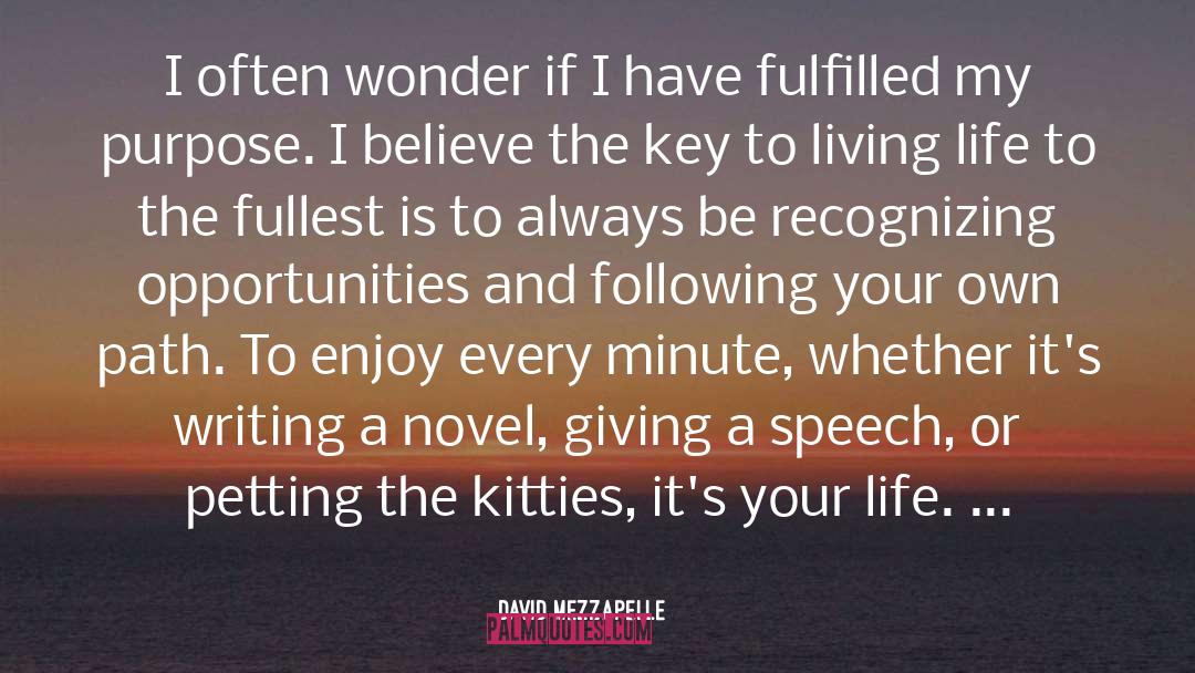 David Mezzapelle Quotes: I often wonder if I