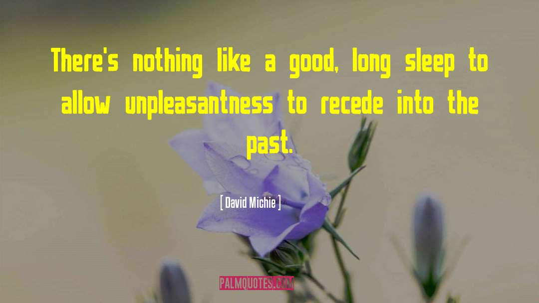 David Michie Quotes: There's nothing like a good,