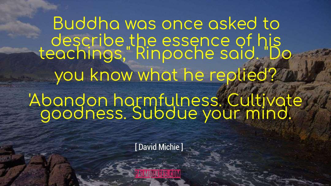 David Michie Quotes: Buddha was once asked to