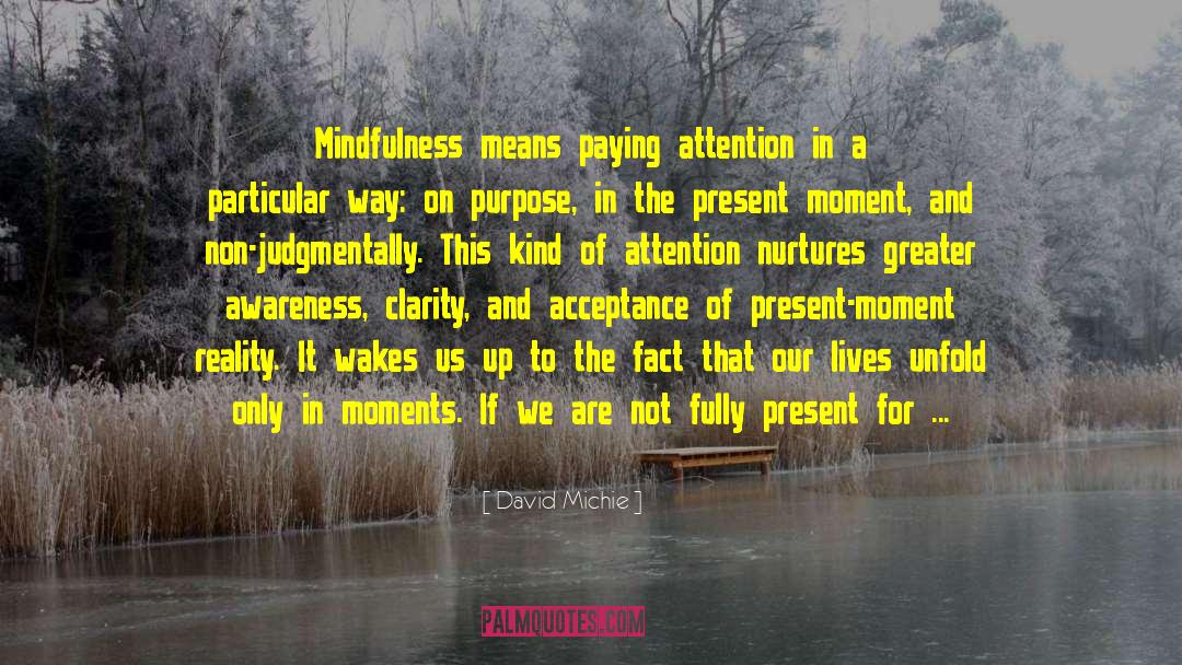 David Michie Quotes: Mindfulness means paying attention in