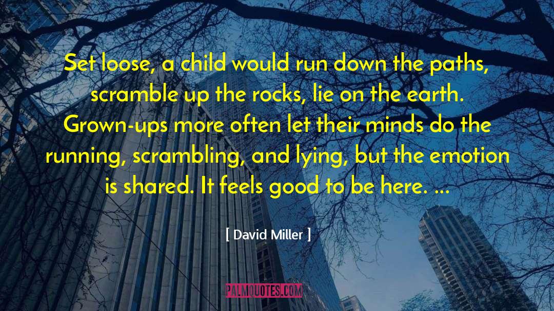 David Miller Quotes: Set loose, a child would